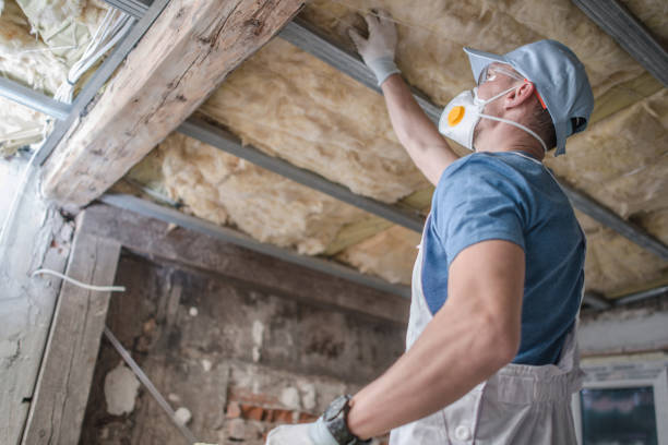 Types of Insulation We Offer in Saint Johns University, MN