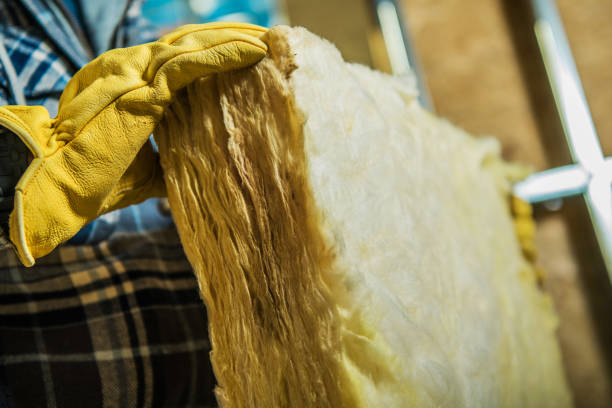 Best Specialized Insulation Services in Saint Johns University, MN