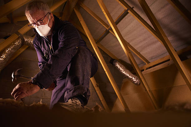 Best Eco-Friendly Insulation in Saint Johns University, MN